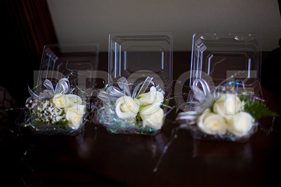 Stephanie_event_0055