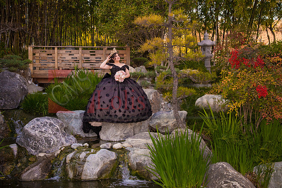 IMG_1350-Edit