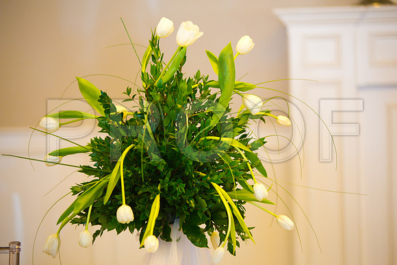 Stella_and_Frank_Event_0113