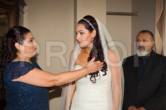 Stella_and_Frank_Event_0091