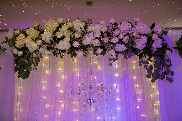 IMG_6604