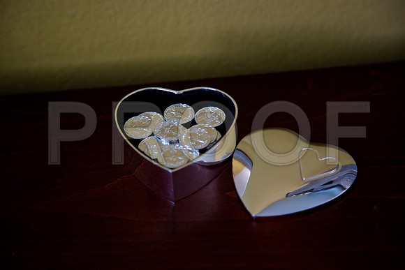 Paula_and_Cesar_Event_0022
