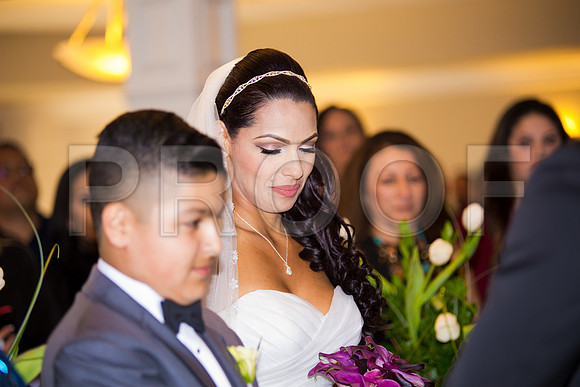 Stella_and_Frank_Event_0157