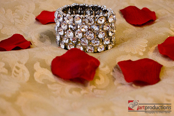 Mayra_y_Carlos_Event_0016