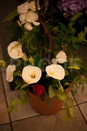 Estephanie_Event_0347