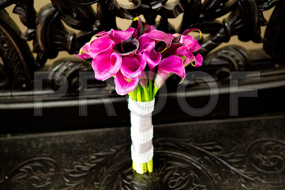 Stella_and_Frank_Event_0054