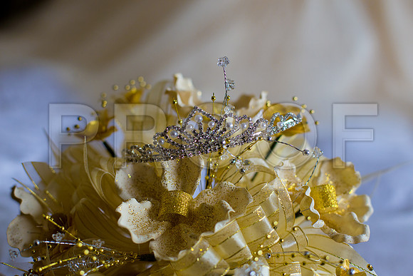 Sapphire_Event_0031