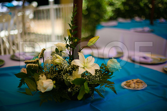Stephanie_event_0381