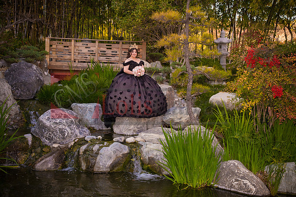 IMG_1346-Edit