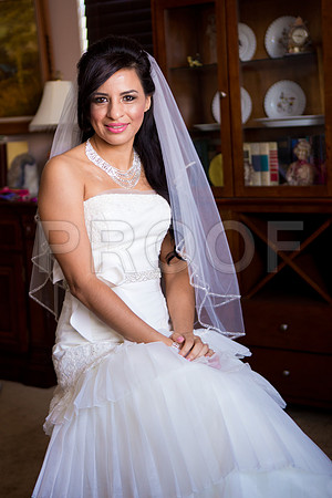 Liz_and_Michael_Event_0191