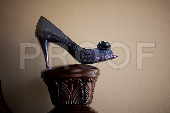 Stephanie_event_0047
