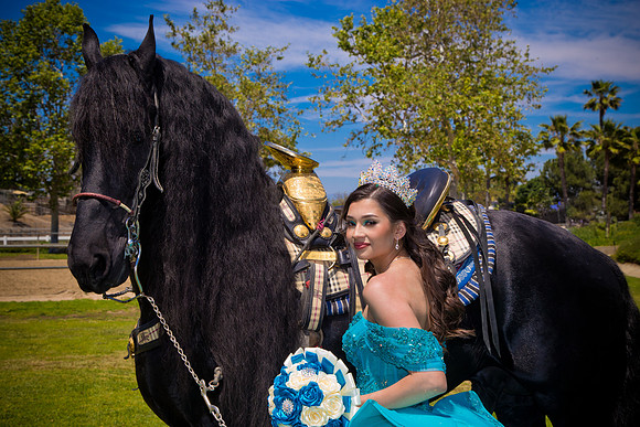 IMG_0949-Edit-2