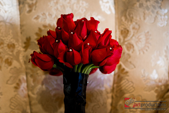 Mayra_y_Carlos_Event_0396