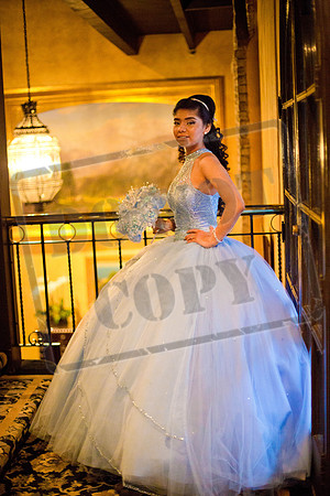Daphne_Pre_0232