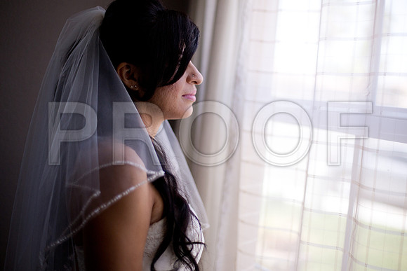 Liz_and_Michael_Event_0242