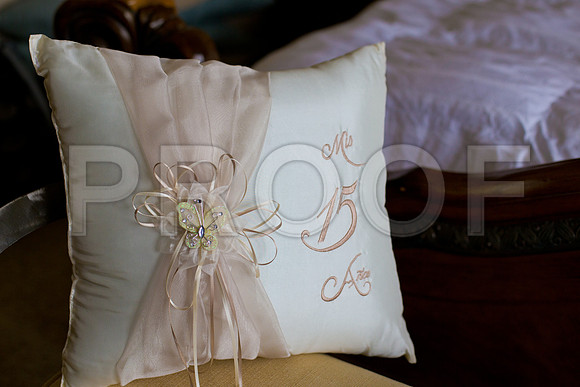 Sapphire_Event_0021