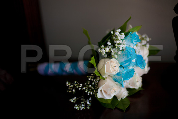 Stephanie_event_0026