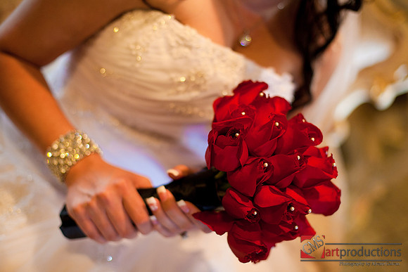 Mayra_y_Carlos_Event_0342