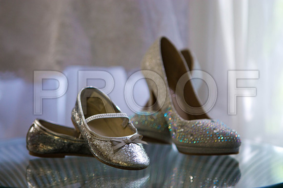 Lizzette_and_Garret_Event_0038