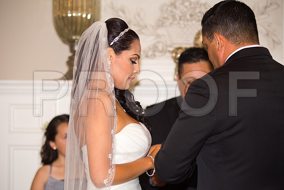 Stella_and_Frank_Event_0181