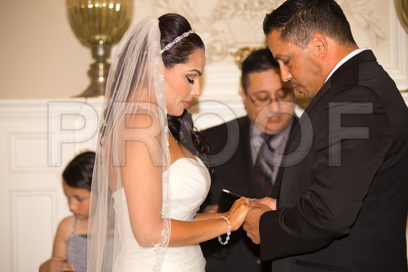 Stella_and_Frank_Event_0192