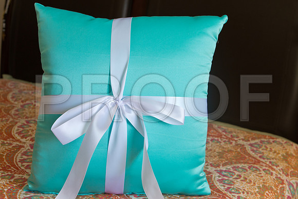 Candace_event_0036-1
