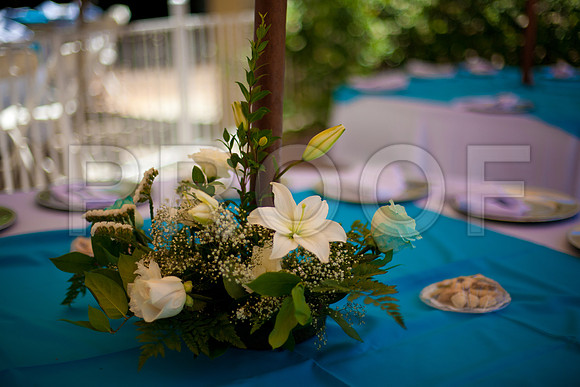 Stephanie_event_0382