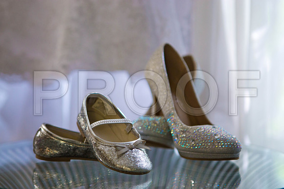 Lizzette_and_Garret_Event_0039