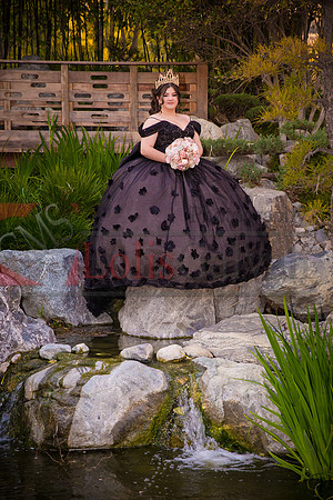 IMG_1343-Edit