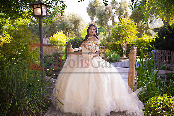 IMG_4114-Edit-Edit