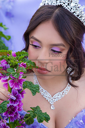 IMG_0843-Edit-Edit