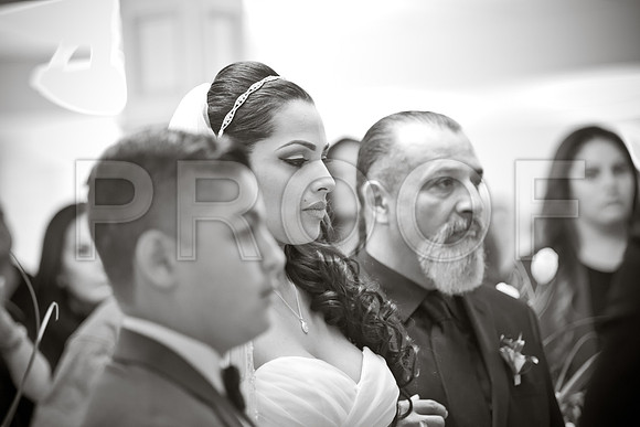 Stella_and_Frank_Event_0156