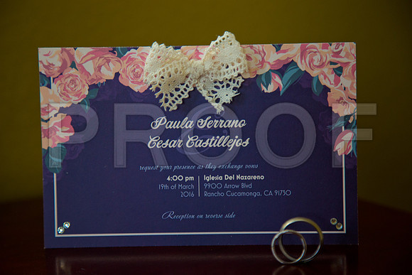 Paula_and_Cesar_Event_0017