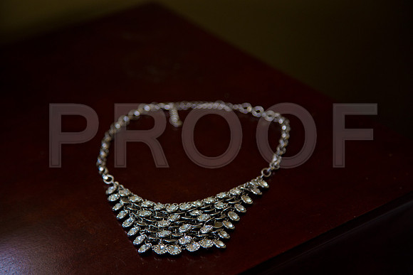 Paula_and_Cesar_Event_0007