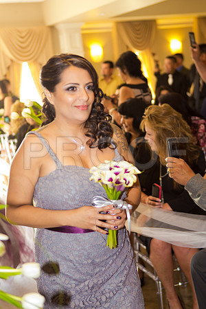 Stella_and_Frank_Event_0140