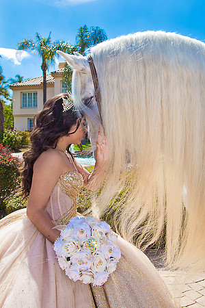 IMG_1494-Edit