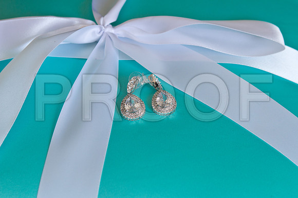 Candace_event_0038-1