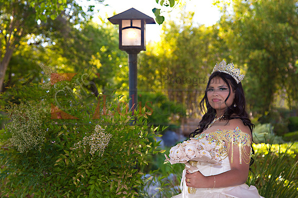 IMG_4124-Edit-Edit