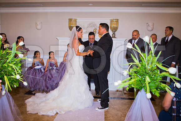 Stella_and_Frank_Event_0161