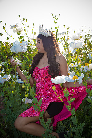 IMG_1082-Edit
