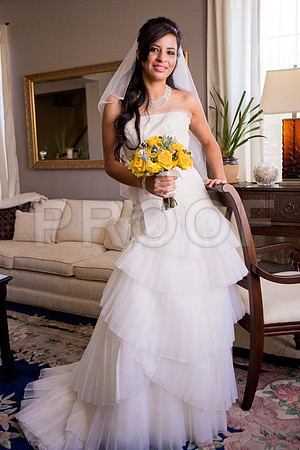 Liz_and_Michael_Event_0248