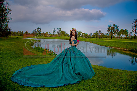 IMG_6993-Edit-Edit