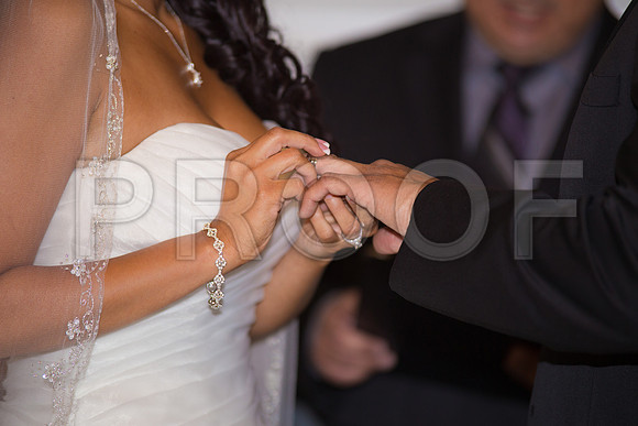 Stella_and_Frank_Event_0187