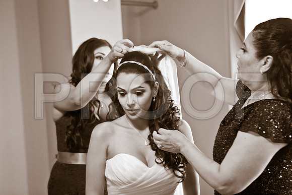 Stella_and_Frank_Event_0075