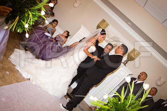 Stella_and_Frank_Event_0165