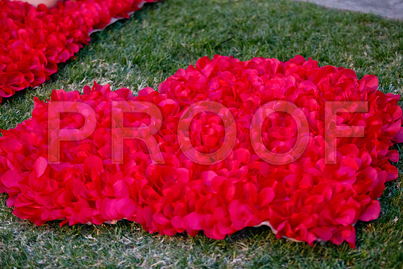 Lizette_and_Garrett_Pre_0097