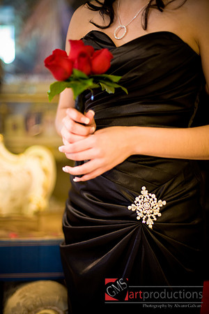 Mayra_y_Carlos_Event_0328