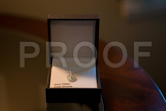 Stella_and_Frank_Event_0042