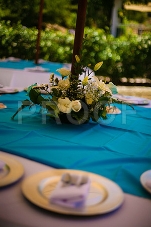 Stephanie_event_0385