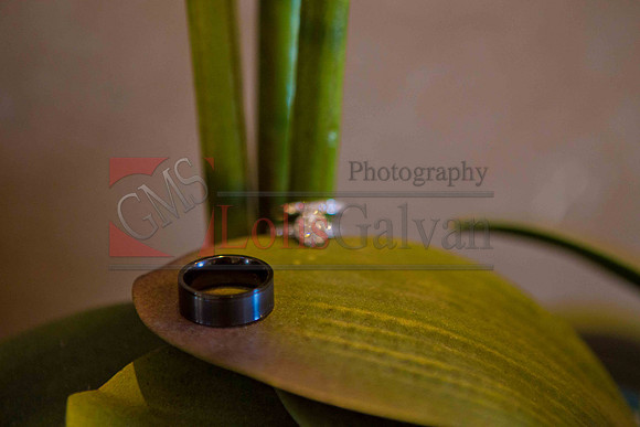 Weslie & Marissa Wedding _0036